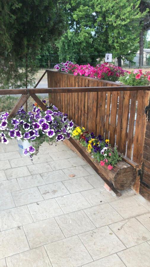 Bed and Breakfast San Rocco Mesola Экстерьер фото